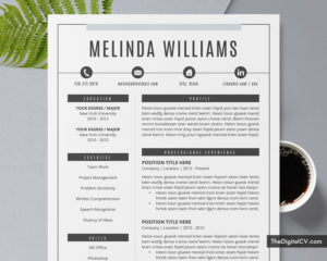Professional Resume Templates to Help You Land Your Dream Job
