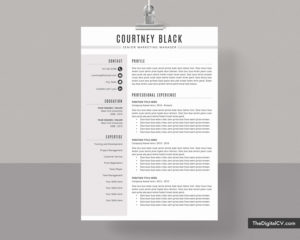 Professional Resume Templates to Help You Land Your Dream Job