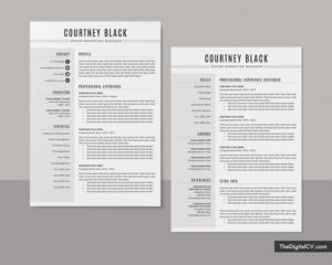 Professional Resume Templates to Help You Land Your Dream Job