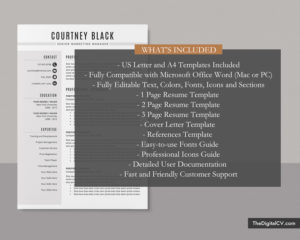 Professional Resume Templates to Help You Land Your Dream Job