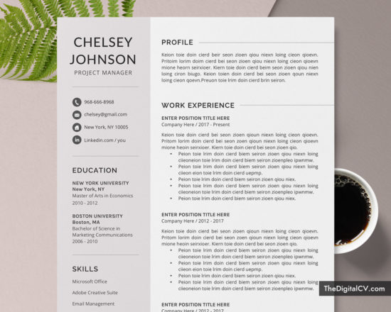 Professional Resume Templates to Help You Land Your Dream Job