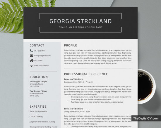 Professional Resume Templates to Help You Land Your Dream Job