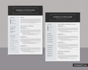 Professional Resume Templates to Help You Land Your Dream Job
