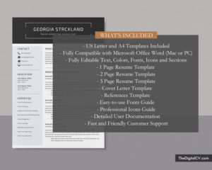 Professional Resume Templates to Help You Land Your Dream Job