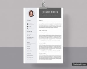 Professional Resume Templates to Help You Land Your Dream Job