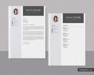 Professional Resume Templates to Help You Land Your Dream Job