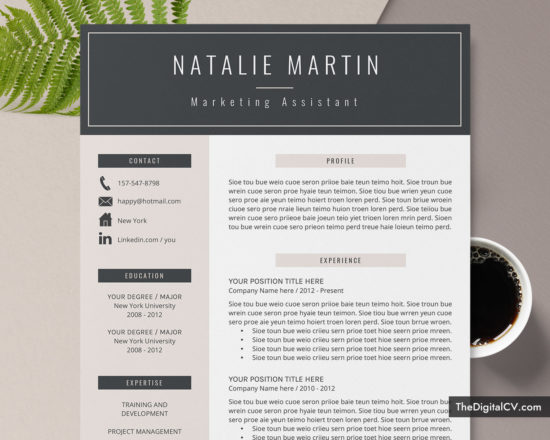 Professional Resume Templates to Help You Land Your Dream Job