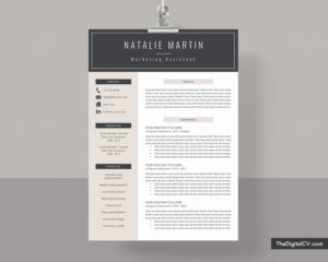 Professional Resume Templates to Help You Land Your Dream Job