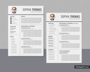 Professional Resume Templates to Help You Land Your Dream Job