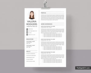Professional Resume Templates to Help You Land Your Dream Job