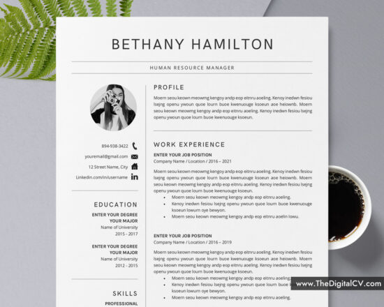 Professional Resume Templates to Help You Land Your Dream Job