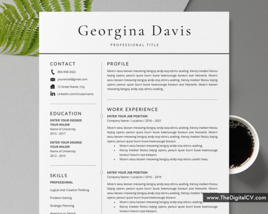 Professional Resume Templates to Help You Land Your Dream Job